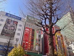 -秋叶原电器街