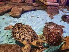 -波塞冬旅游度假区