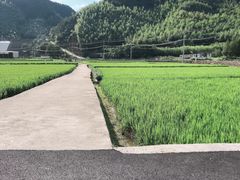 -山沟沟景区