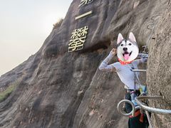 -马头山