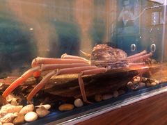 -千代武日本料理(哈西店)
