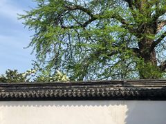 -常熟方塔园