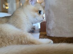 -Me Coffee下午茶艺术空间