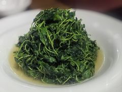 -金枝玉叶上海人家食府(三里河店)