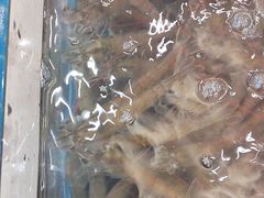 -新丁香海鲜酒店(银海商贸城店)