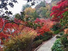 -吉野家(人和香港城店)