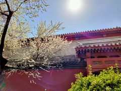 -雍和宫(地铁站)