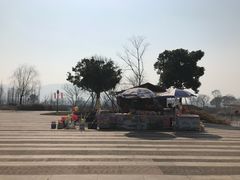 -长兴太湖图影湿地文化园