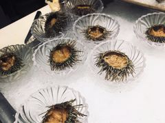 -半岛翡丽海鲜自助餐厅(观风亭店)