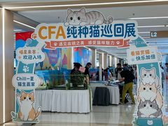 -凯德MALL(望京店)