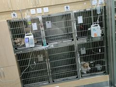 -爱佳宠物中心医院·骨外科·猫专科·急重症(瑶海万达店)