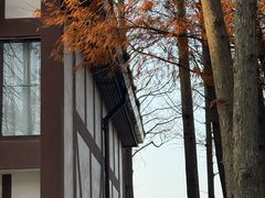 -太阳岛度假酒店