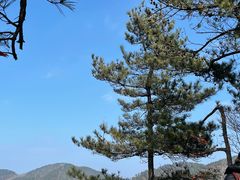 -四明山国家森林公园