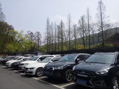 -苏堤停车场