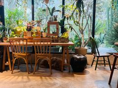 -自由生长植物工作室(深港花卉中心店)