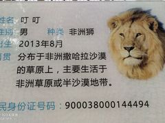 -昆明动物园