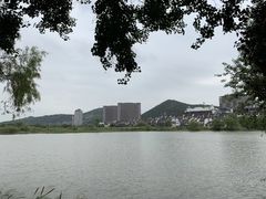-长兴太湖图影湿地文化园