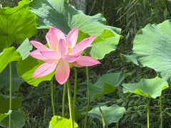 -花溪公园