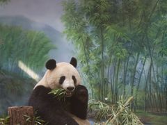-杭州动物园