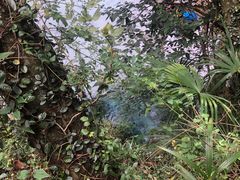 -南京珍珠泉风景区