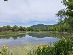 -石塘人家