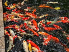 -新世纪大酒楼·30年南海菜