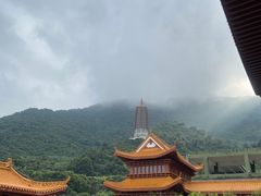 -深圳仙湖植物园