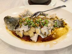 黄椒酱砂锅焗鲈鱼-粤盛海鲜平价店(洛溪食街店)