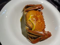-蟹榭·本帮江浙菜·蟹宴(五角场合生汇商场店)