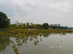 -长田漾湿地公园