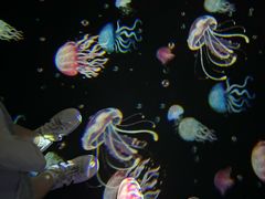 -成都浩海立方海洋公园