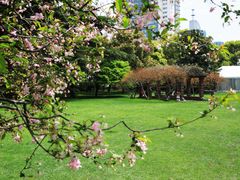 -上海瑞金洲际酒店