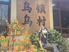 -乌村