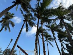 -三亚亚龙湾红树林度假酒店