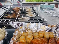 -春花秋色城市公园