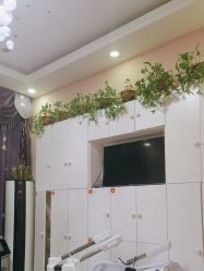 -香薇妮丝·定制减肥·身材管理