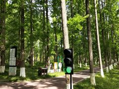 -黄海国家森林公园