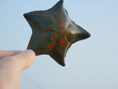 -星海广场