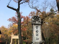 -灵谷景区