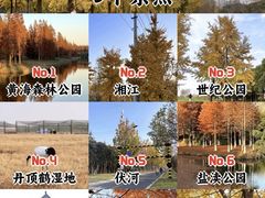 -黄海国家森林公园