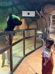 -酷嗒动物文化乐园(cutezoo西溪乐天城店)