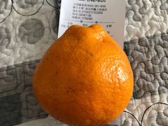 -鲜丰水果(万尚城店)