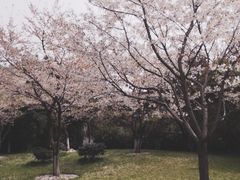 -堤角公园