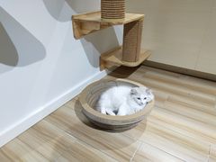 -听TA说宠咖·宠物生活馆(天韵水岸店)