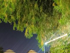 -蘇河湾·新鲁菜·泰山宴(泰山店)