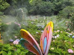 -上海共青森林公园