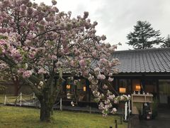 -醍醐寺