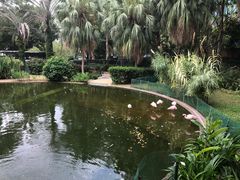 -九龙公园