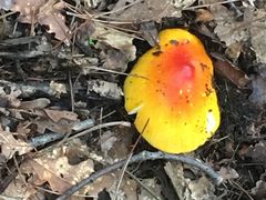 -九鼎铁刹山风景区