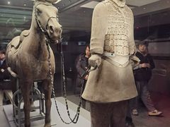 -秦始皇帝陵博物院-丽山园